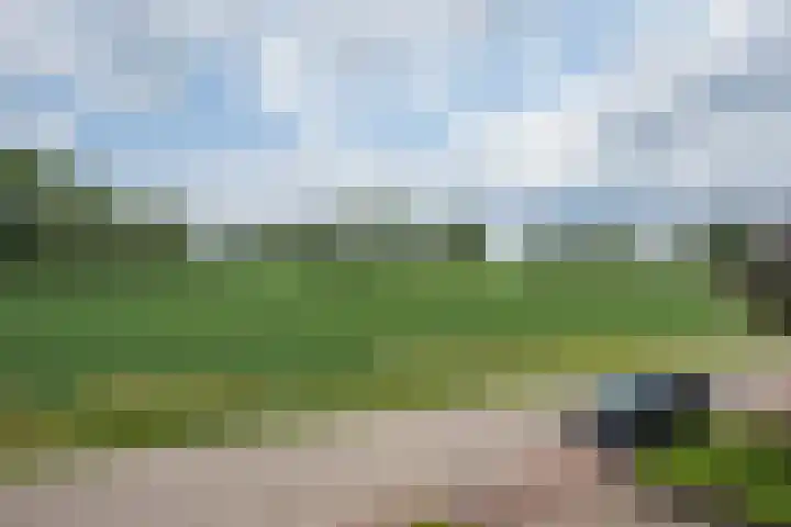 Kemp 10 Horn thumbnail 31