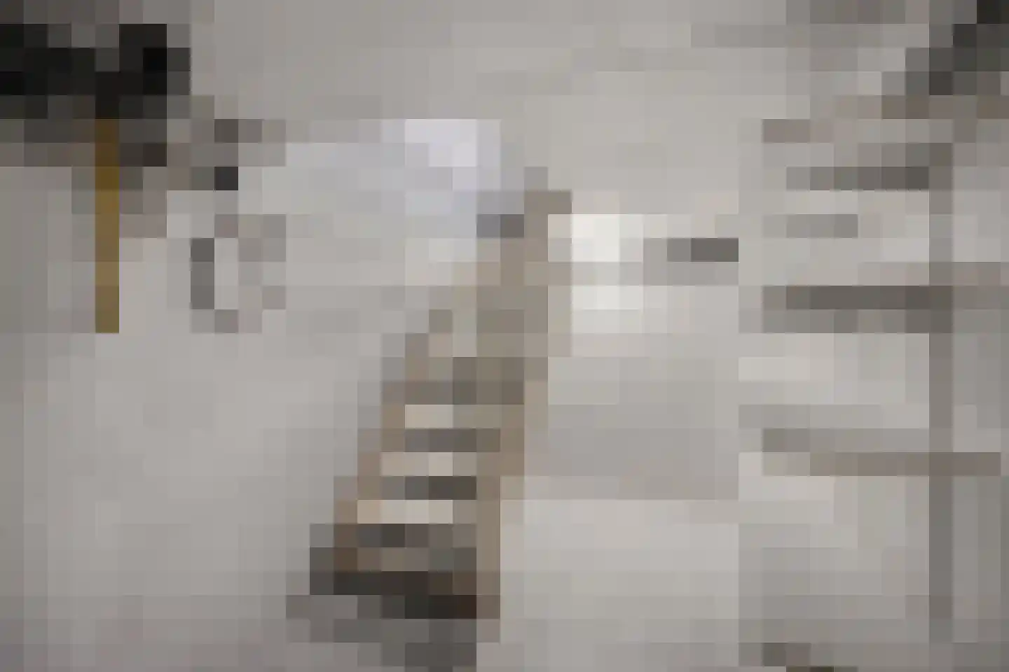 Kemp 8 Horn thumbnail 14