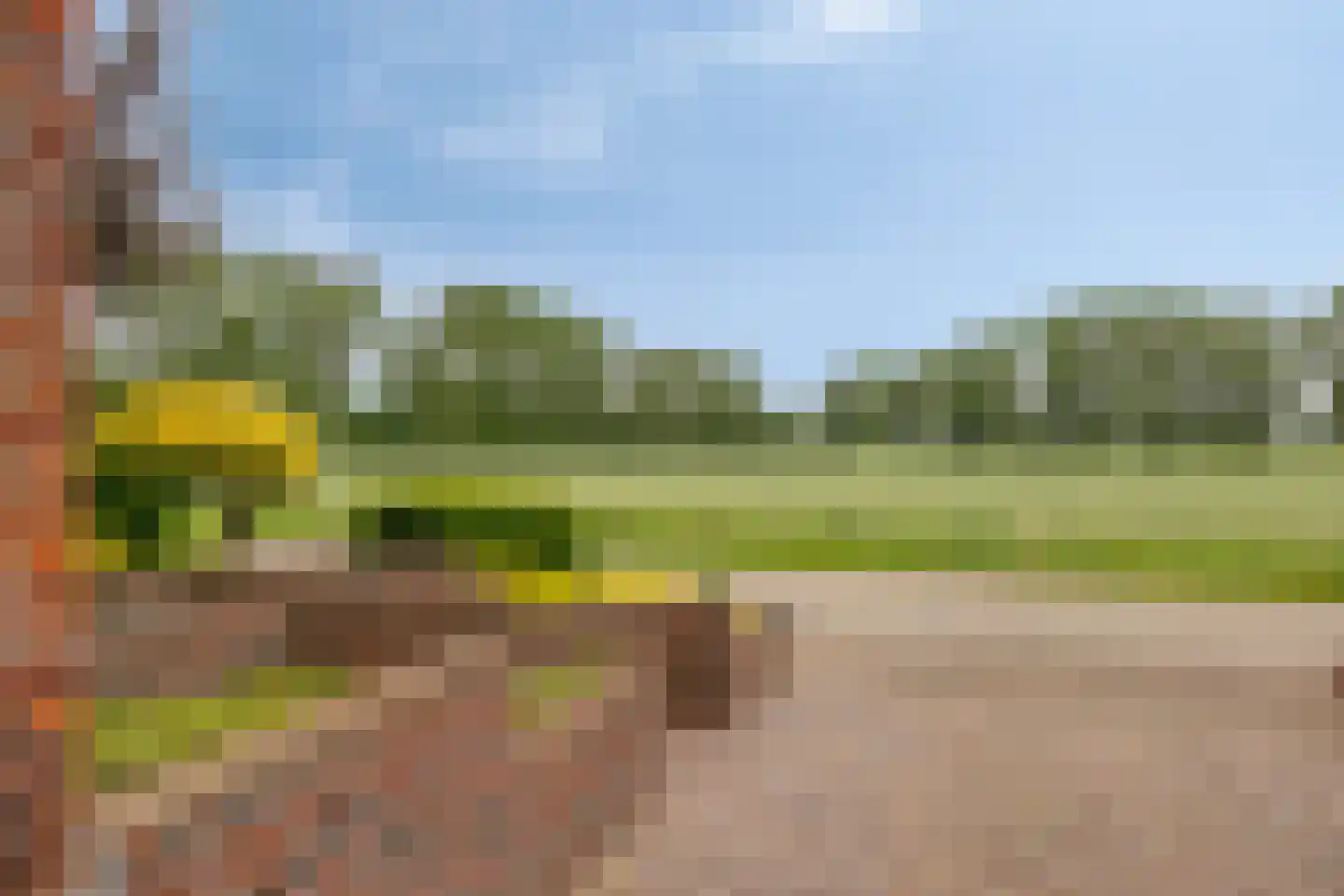 Kemp 8 Horn thumbnail 35