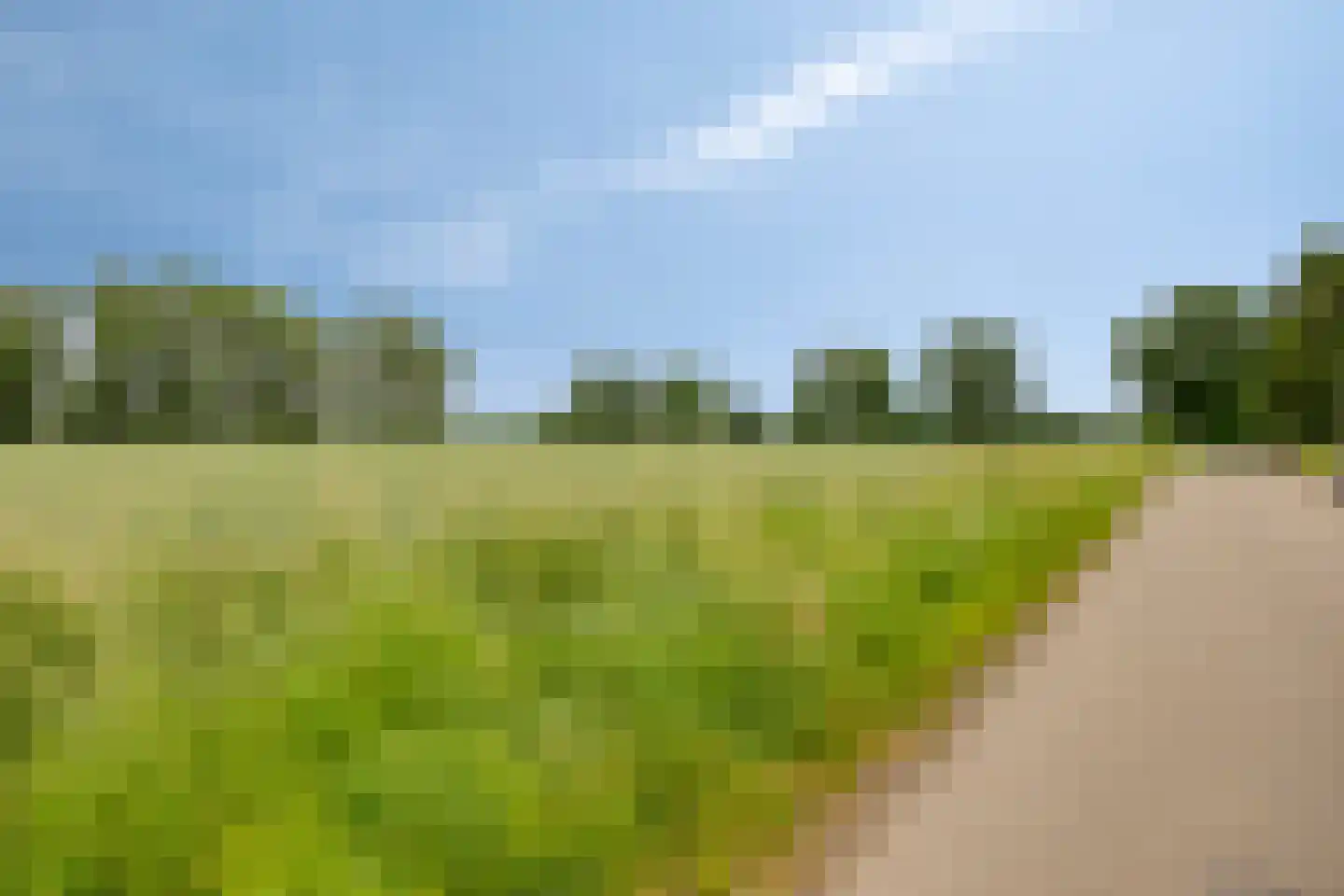 Kemp 8 Horn thumbnail 40