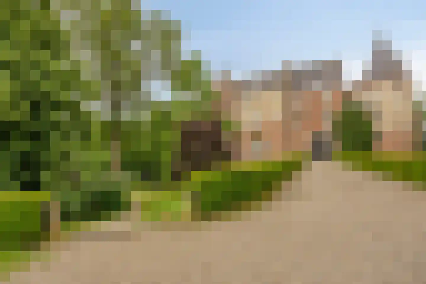 Kemp 8 Horn thumbnail 41