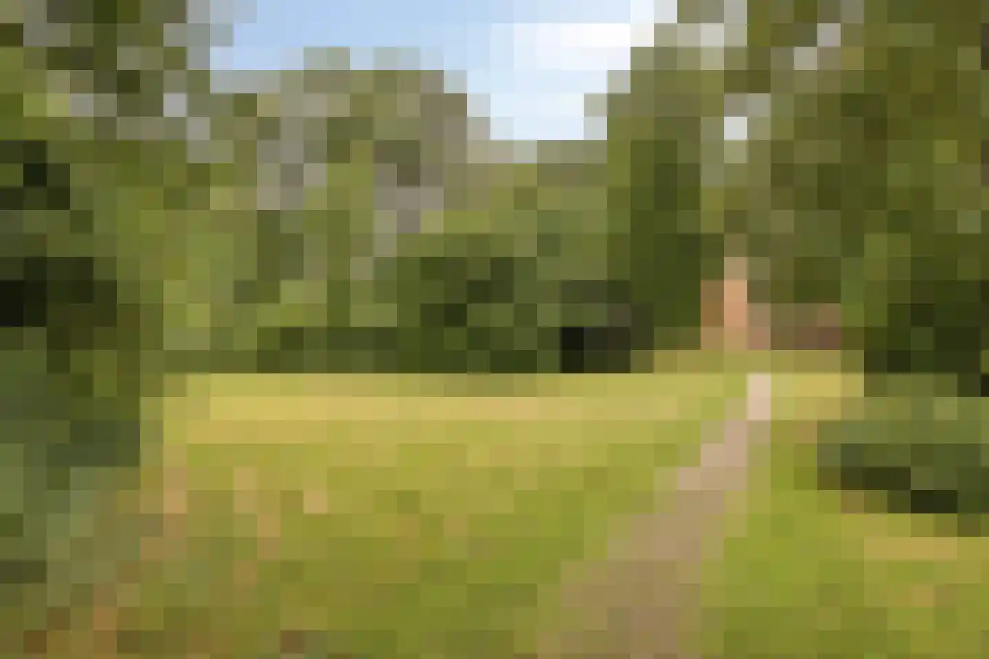 Kemp 8 Horn thumbnail 42