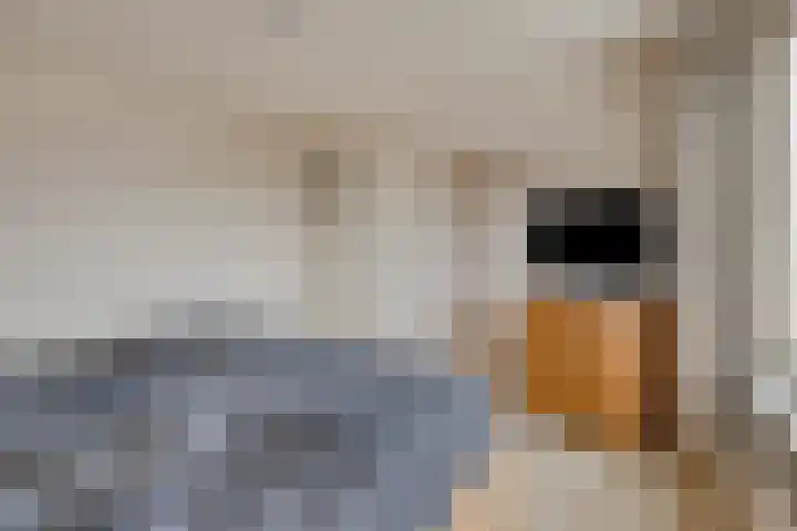 Kempakker 13 Bergeijk thumbnail 16