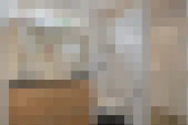 Kempakker 13 Bergeijk thumbnail 19