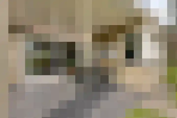 Kempakker 13 Bergeijk thumbnail 24