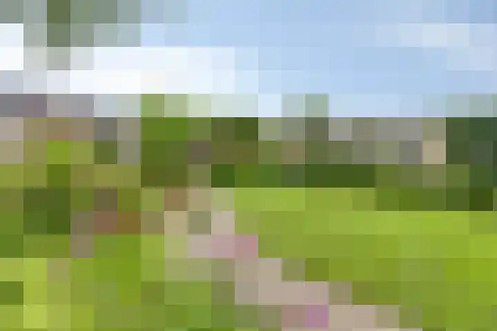 Kempakker 13 Bergeijk thumbnail 25