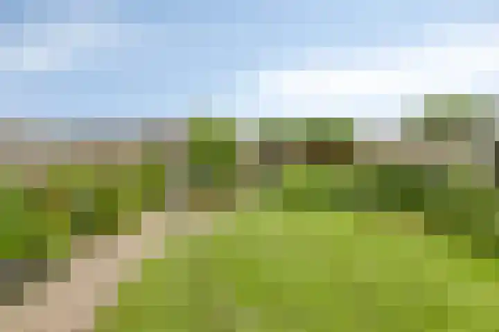 Kempakker 13 Bergeijk thumbnail 26