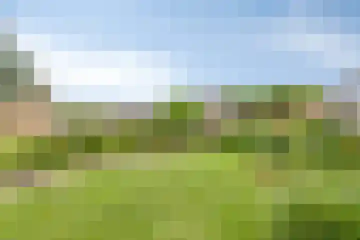 Kempakker 13 Bergeijk thumbnail 27