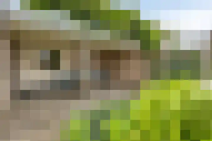 Kempakker 13 Bergeijk thumbnail 28
