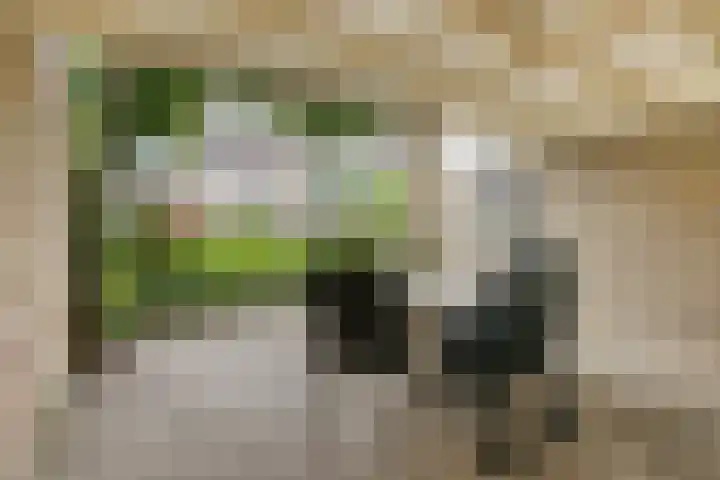 Kempakker 13 Bergeijk thumbnail 29