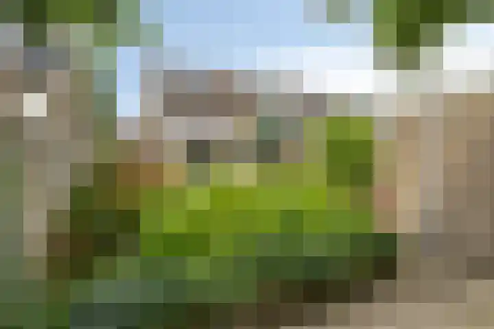 Kempakker 13 Bergeijk thumbnail 30