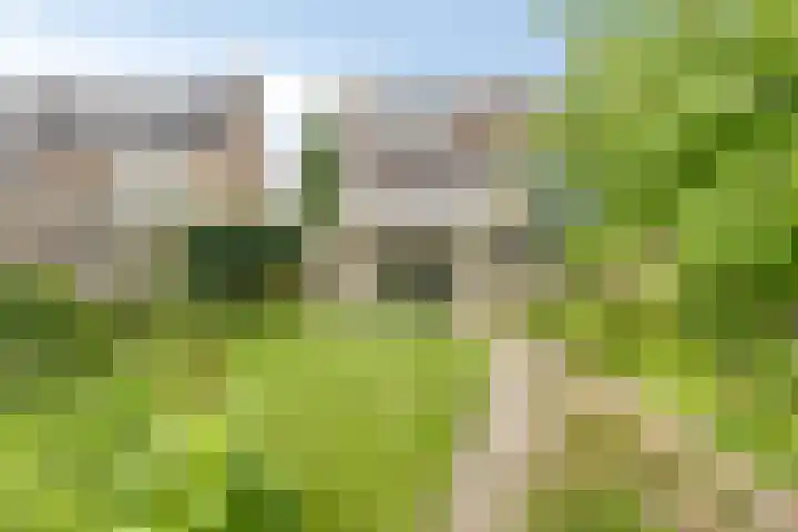 Kempakker 13 Bergeijk thumbnail 31