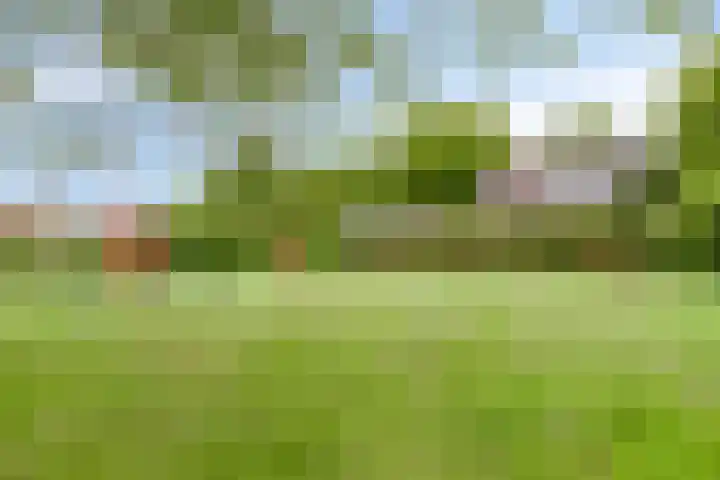 Kempakker 13 Bergeijk thumbnail 33