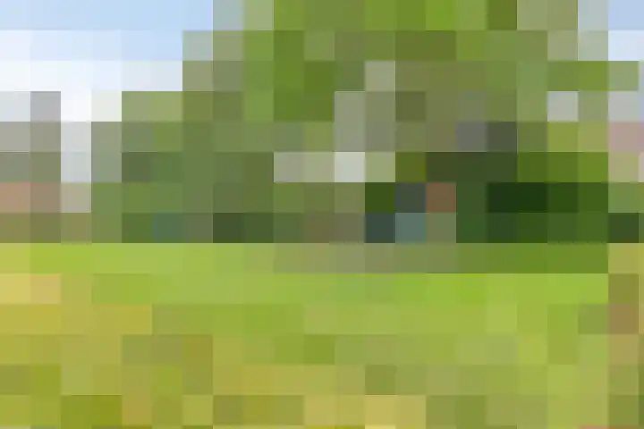 Kempakker 13 Bergeijk thumbnail 34