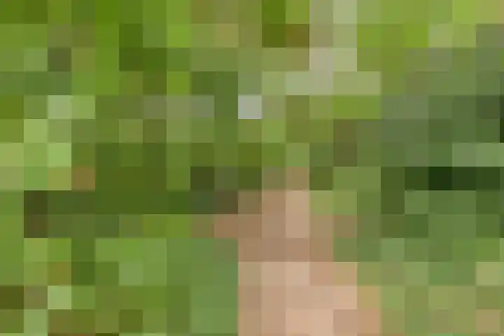 Kempakker 13 Bergeijk thumbnail 35