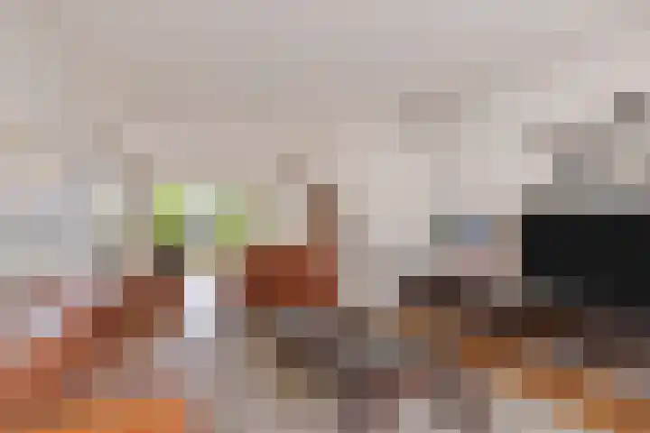 Kempakker 13 Bergeijk thumbnail 7
