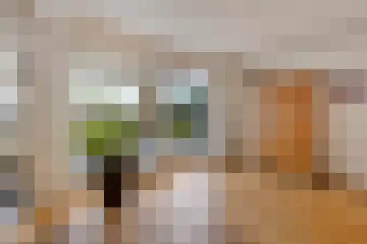 Kempakker 13 Bergeijk thumbnail 8