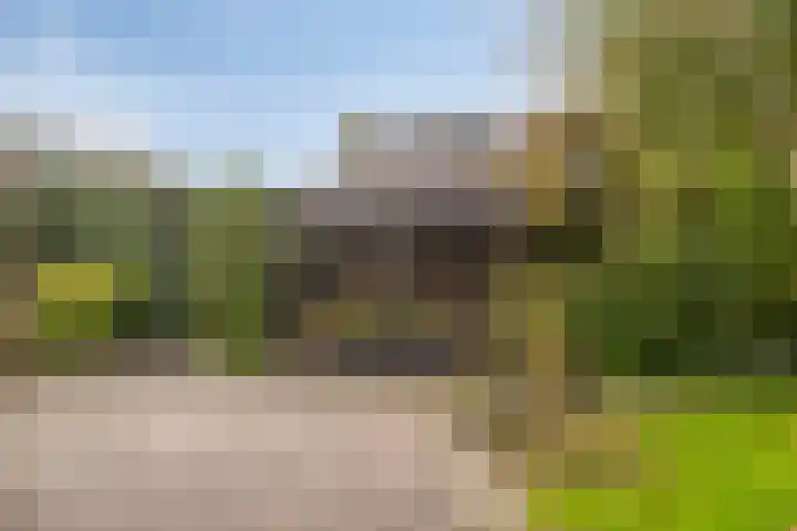 Kempen 12 Lelystad thumbnail 29