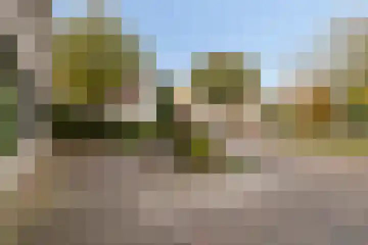 Kempen 12 Lelystad thumbnail 5