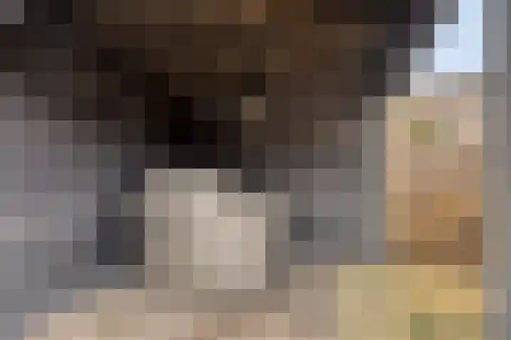 Kempen 6 Lelystad thumbnail 34