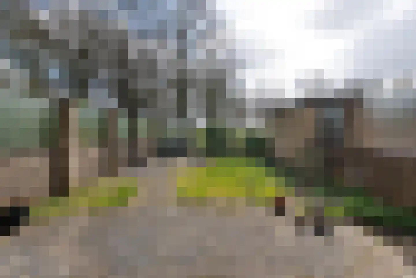 Kempen 8 Haarlem thumbnail 17