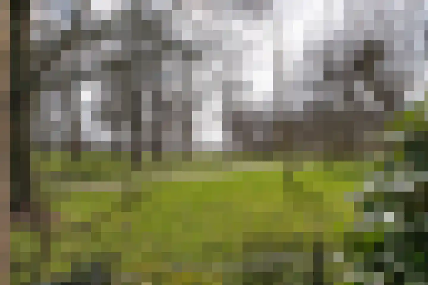 Kempen 8 Haarlem thumbnail 18