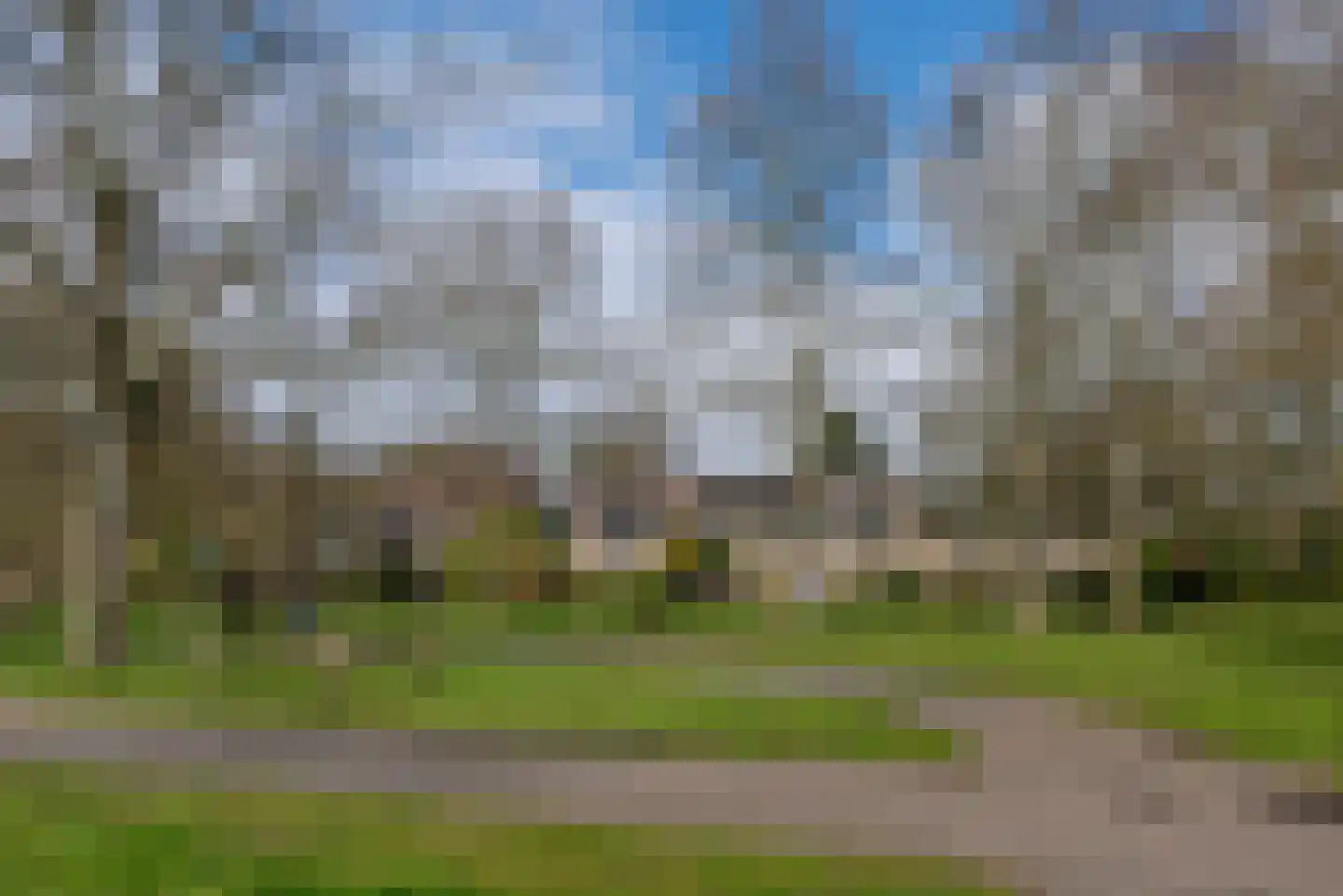Kempen 8 Haarlem thumbnail 32
