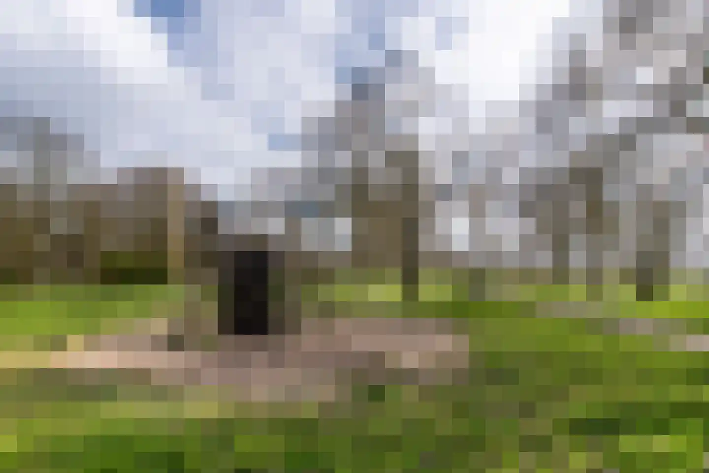 Kempen 8 Haarlem thumbnail 34
