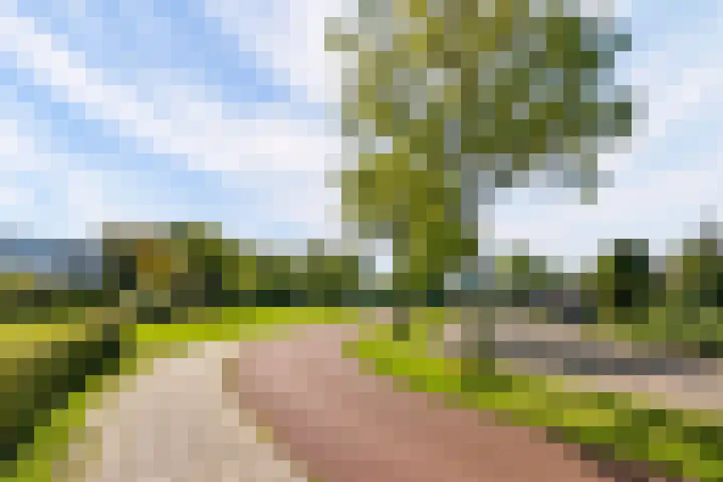 Kempenaar 01 15 Lelystad thumbnail 31