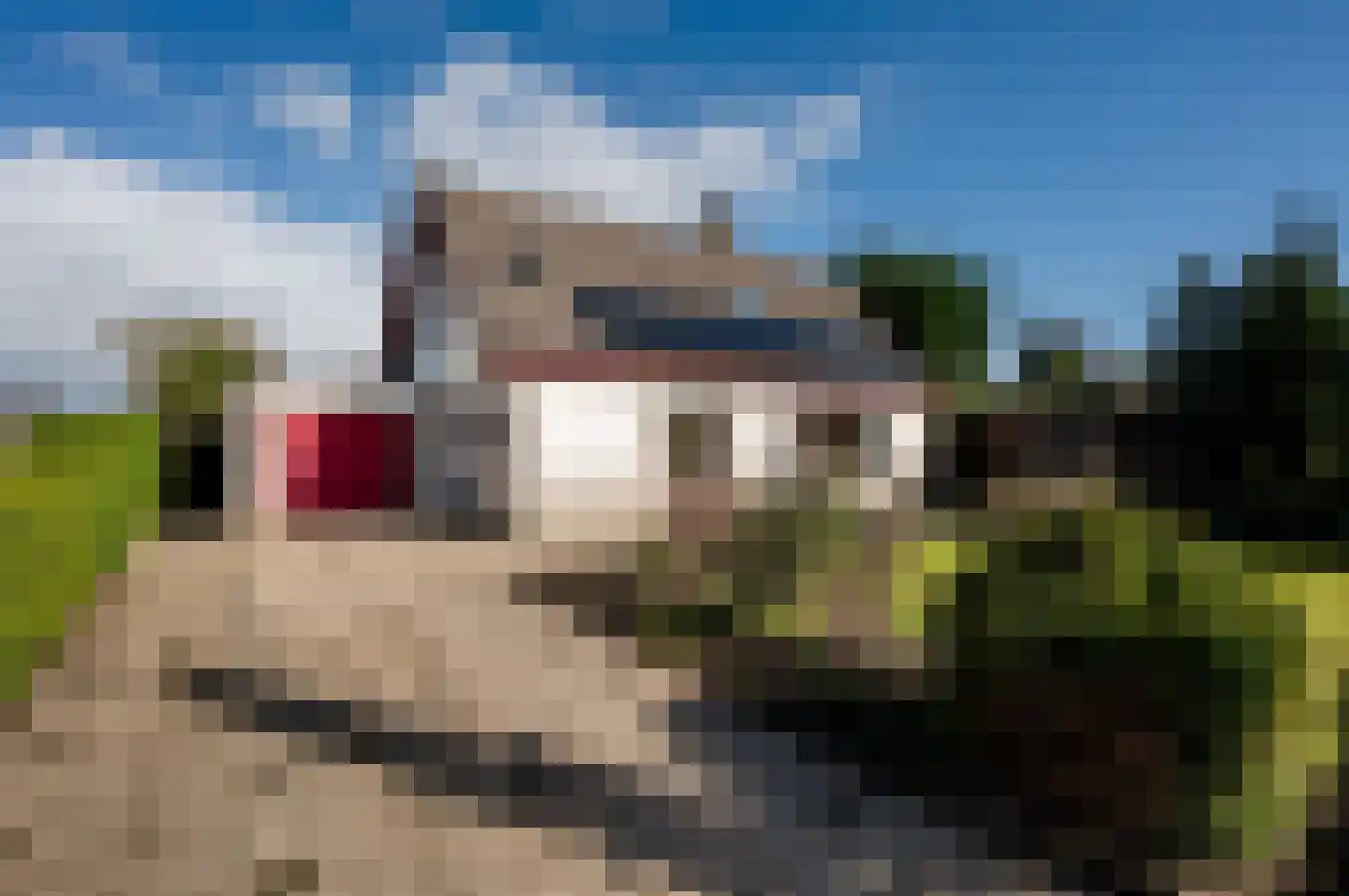 Kempenaar 02 02 35 Lelystad thumbnail 37