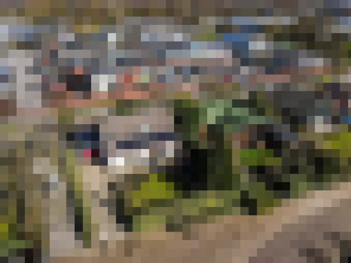 Kempenaar 02 02 35 Lelystad thumbnail 42