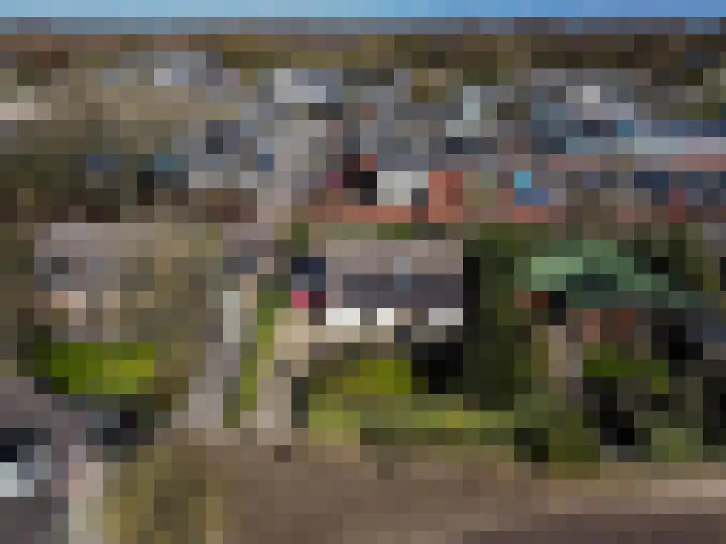 Kempenaar 02 02 35 Lelystad thumbnail 43