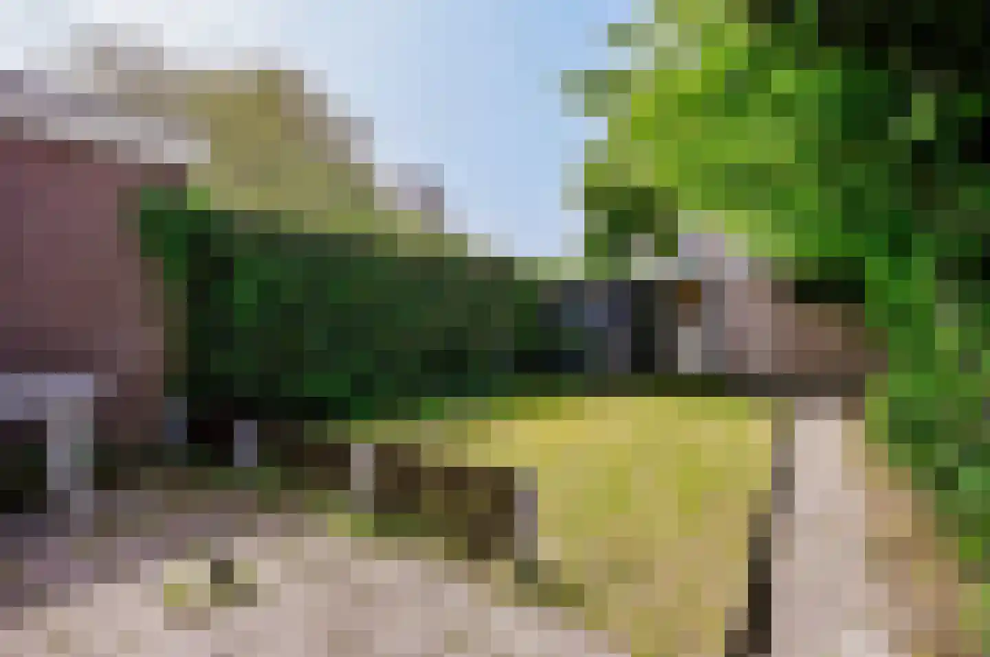 Kempenaar 04 14 Lelystad thumbnail 33