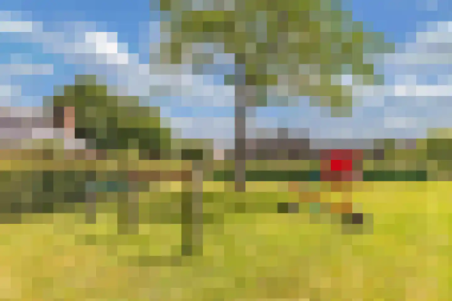 Kempenaar 04 8 Lelystad thumbnail 58