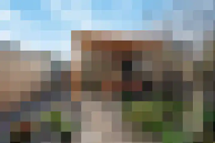 Kempenaar 13 Barendrecht thumbnail 35