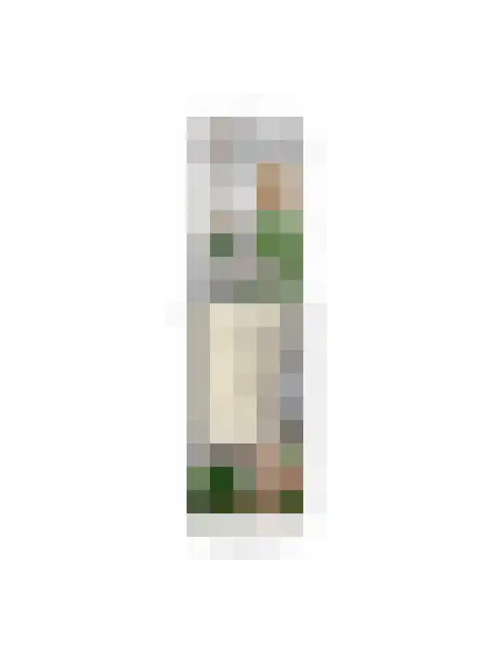 Kempenaar 13 Barendrecht thumbnail 68
