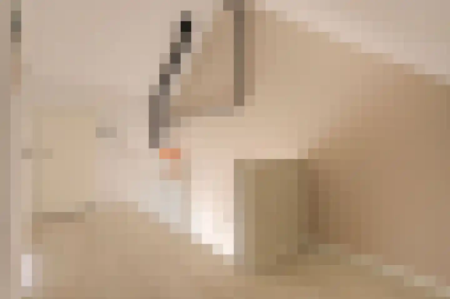 Kempenaar 15 Werkendam thumbnail 35