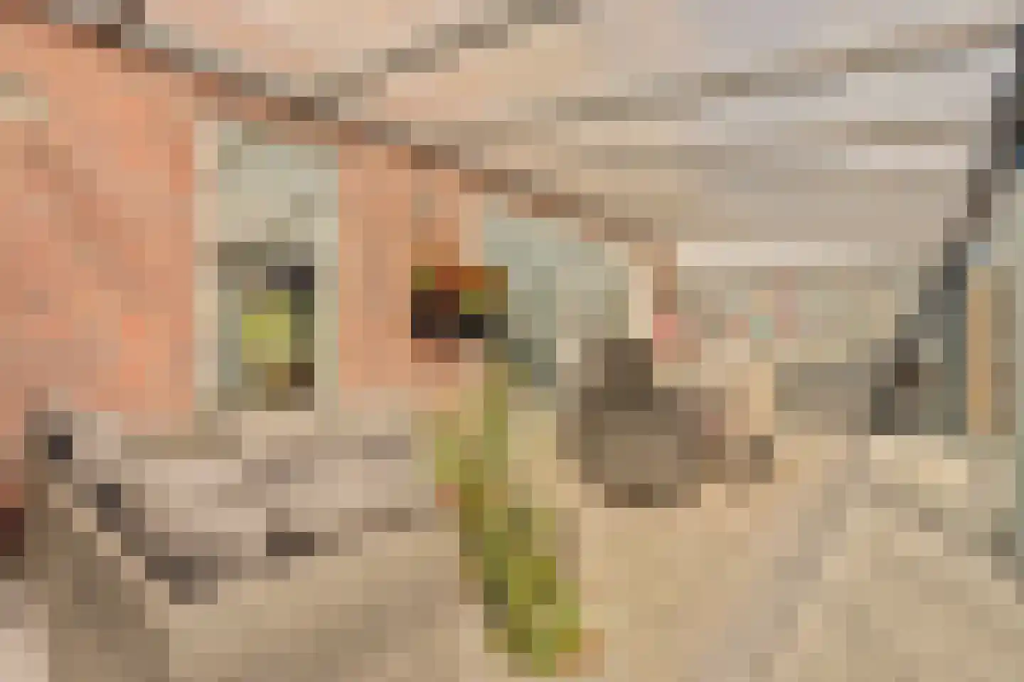 Kempenaar 15 Werkendam thumbnail 39