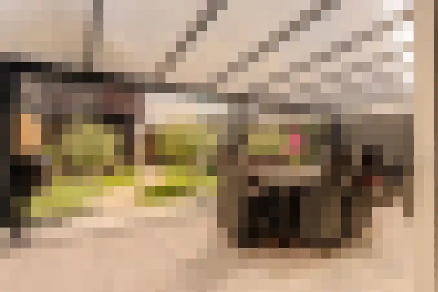 Kempenaar 15 Werkendam thumbnail 5