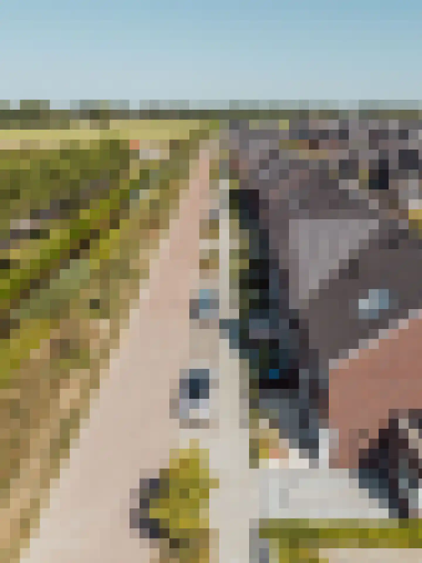 Kempenaar 15 Werkendam thumbnail 52