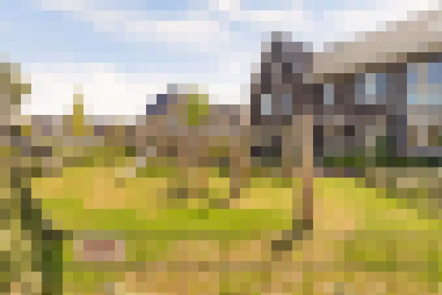 Kempenaar 15 Werkendam thumbnail 53