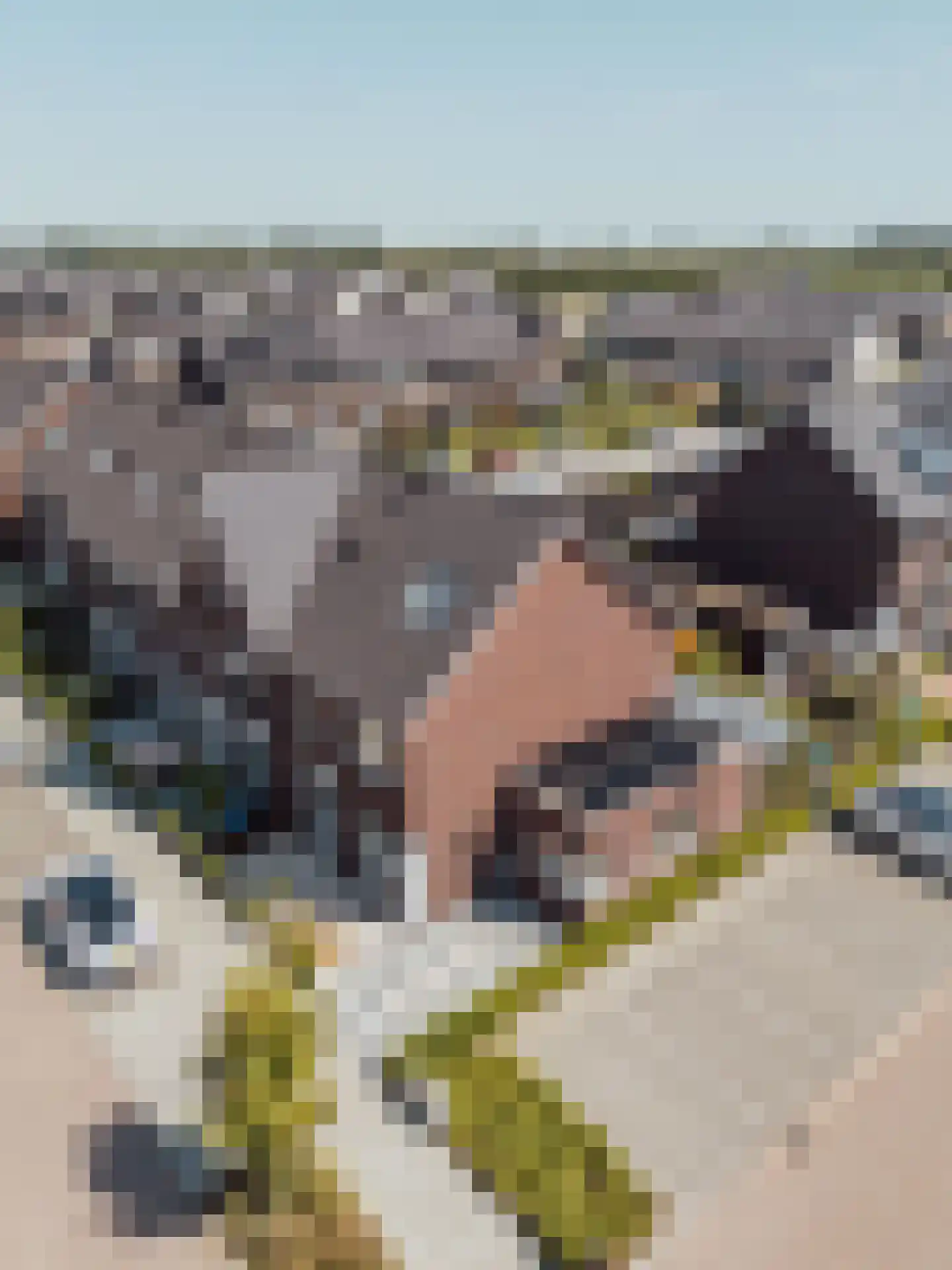Kempenaar 15 Werkendam thumbnail 8