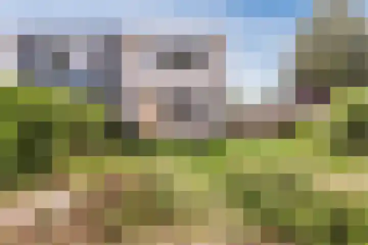 Kempenaar 16 40 Lelystad thumbnail 30