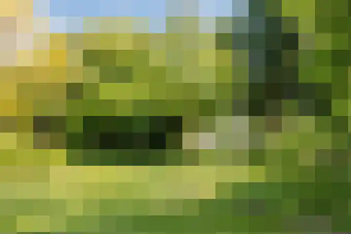 Kempenaar 16 40 Lelystad thumbnail 38