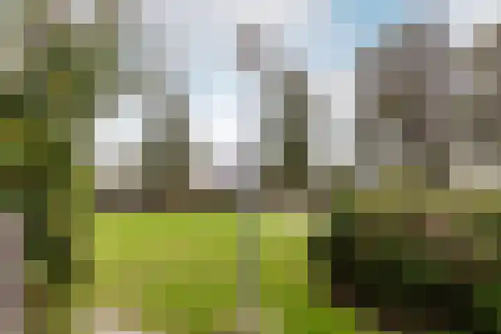 Kempenaar 17 77 Lelystad thumbnail 30