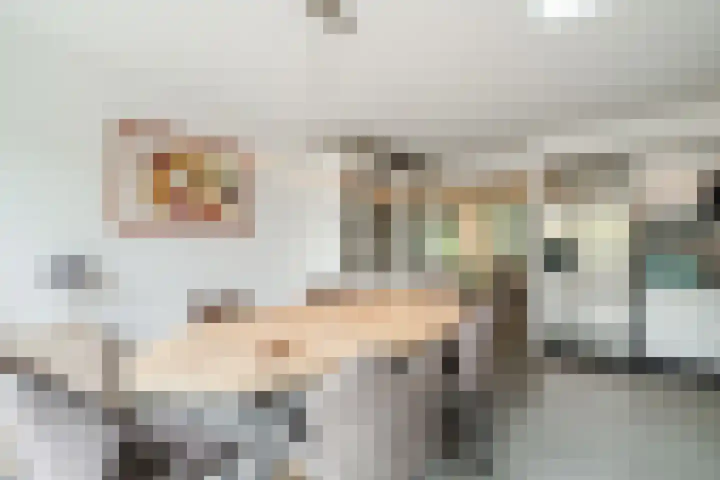 Kempenaar 29 Wijk bij Duurstede thumbnail 13