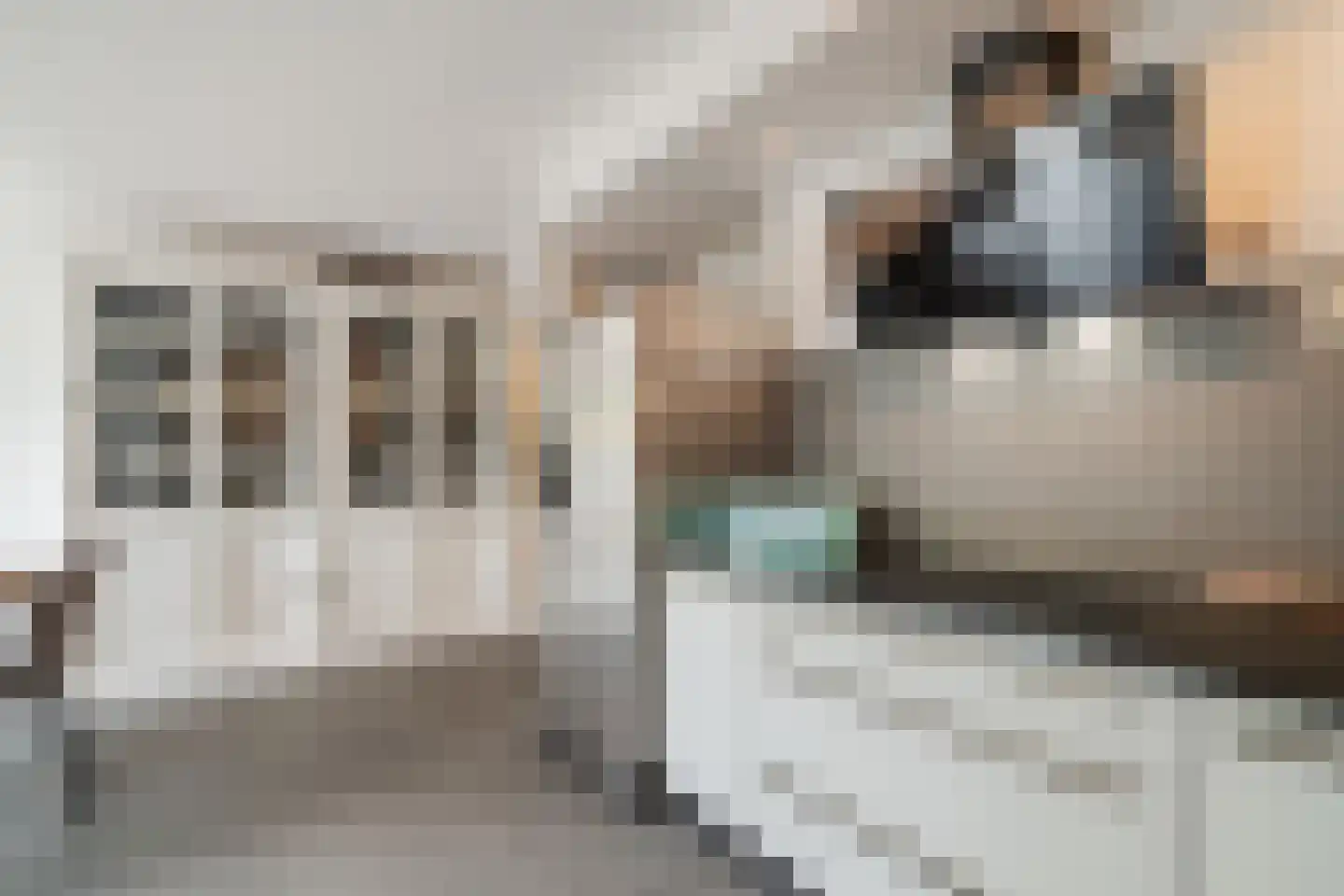 Kempenaar 29 Wijk bij Duurstede thumbnail 15