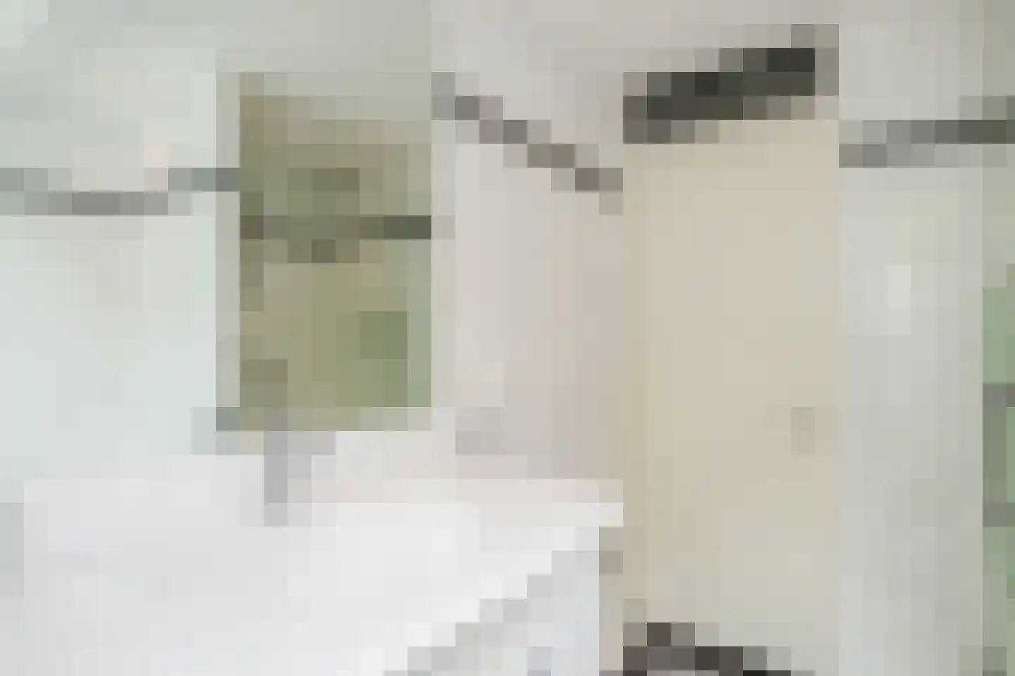 Kempenaar 29 Wijk bij Duurstede thumbnail 32