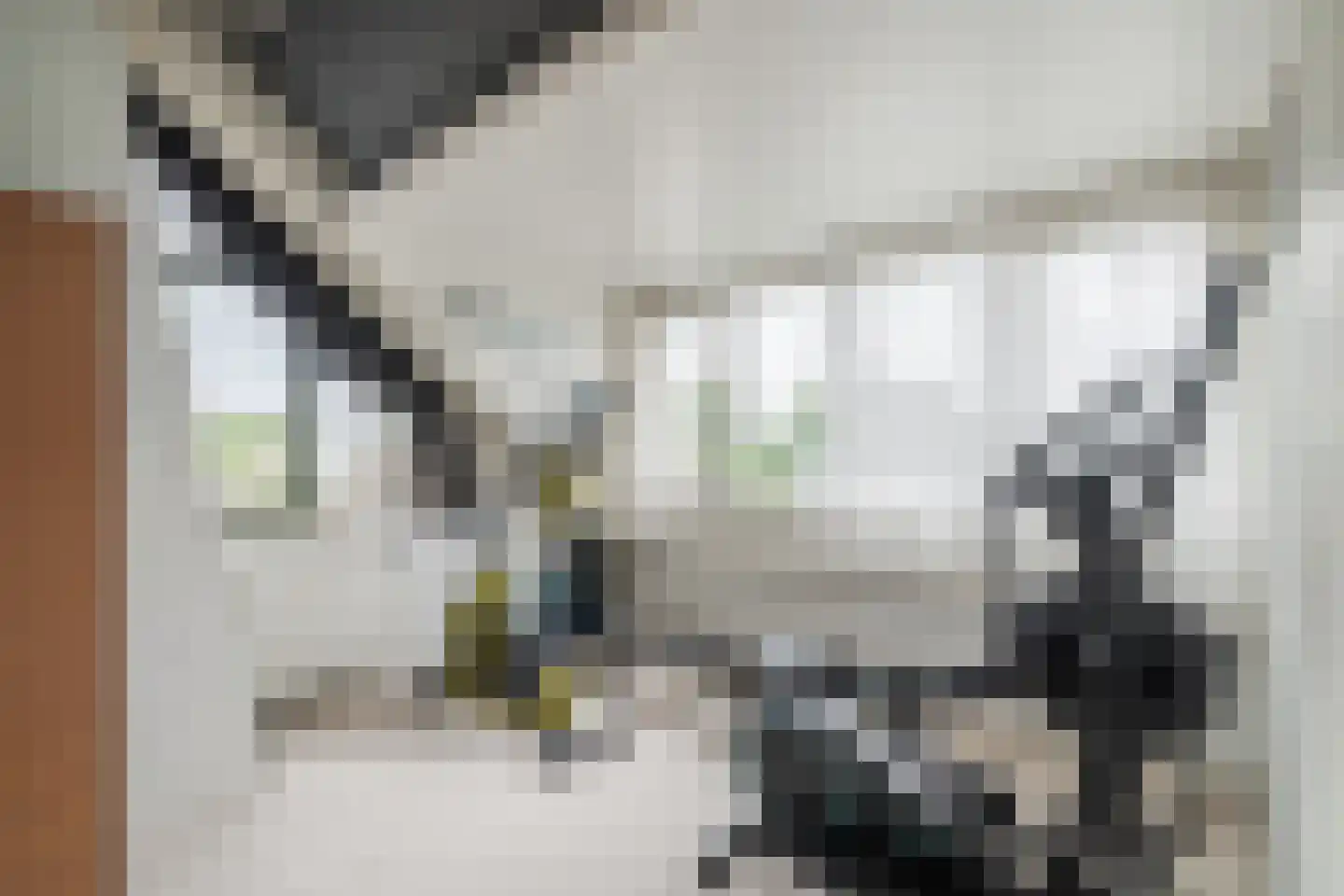 Kempenaar 29 Wijk bij Duurstede thumbnail 39