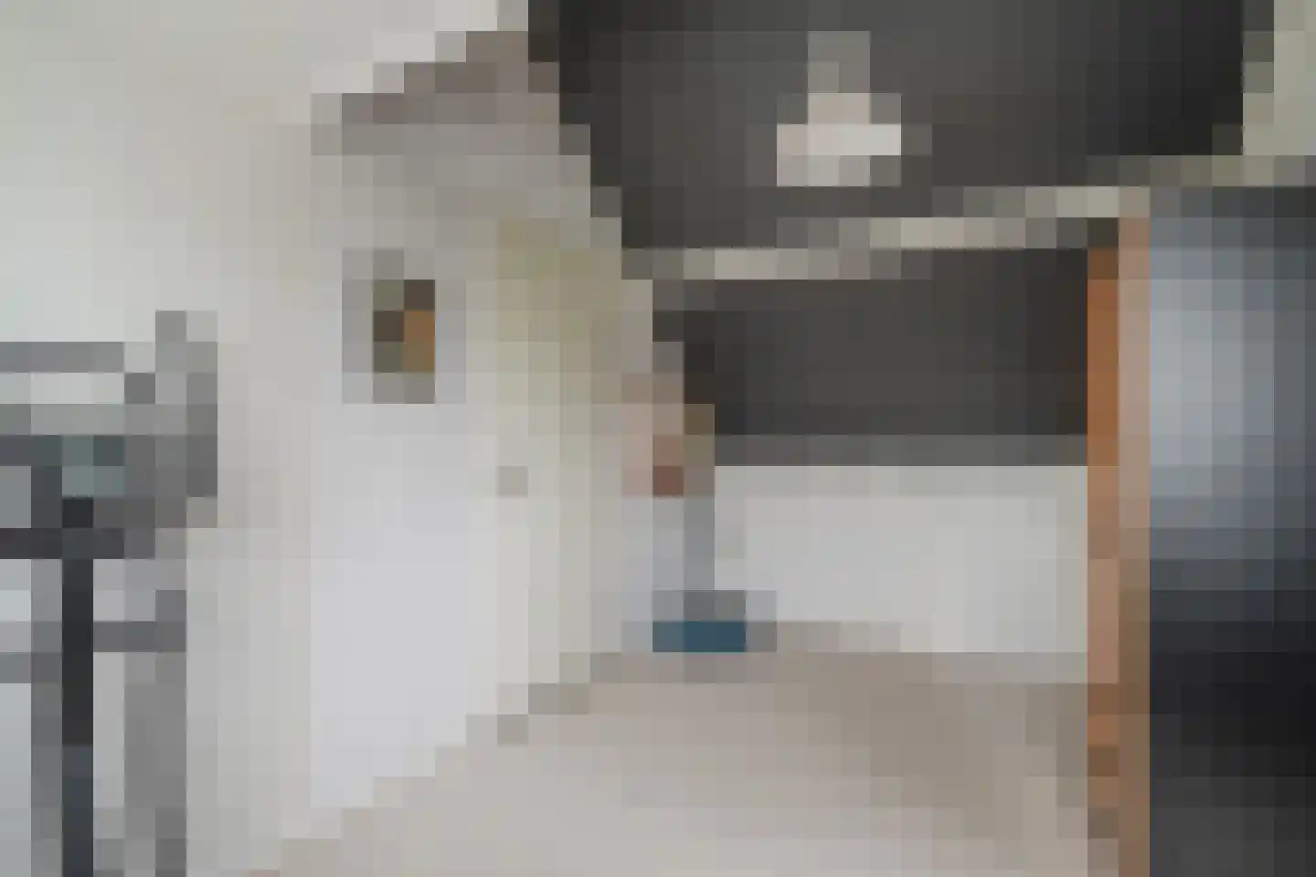 Kempenaar 29 Wijk bij Duurstede thumbnail 42